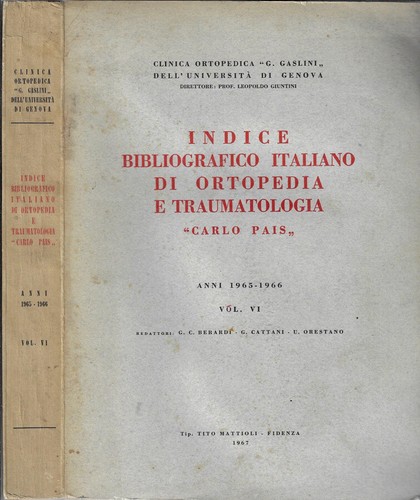 Indice bibliografico italiano