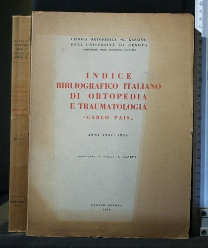 Indice bibliografico italiano - indice,